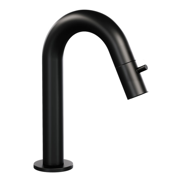 BRAUER Black Edition opbouw fonteinkraan met gebogen uitloop mat zwart 5-S-320