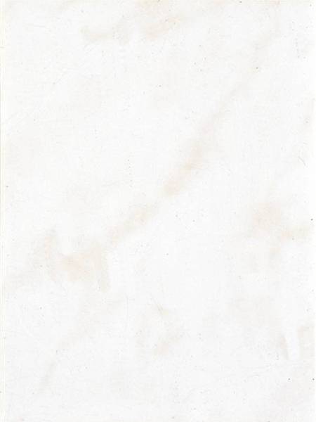 Mosa Ledo wit-pergamon 15x20 2900LL1520 6,3mm glans lange zijde geglazuurd