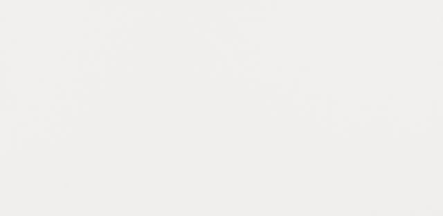 Rako System white 20x40 WAAMB000 7mm glans