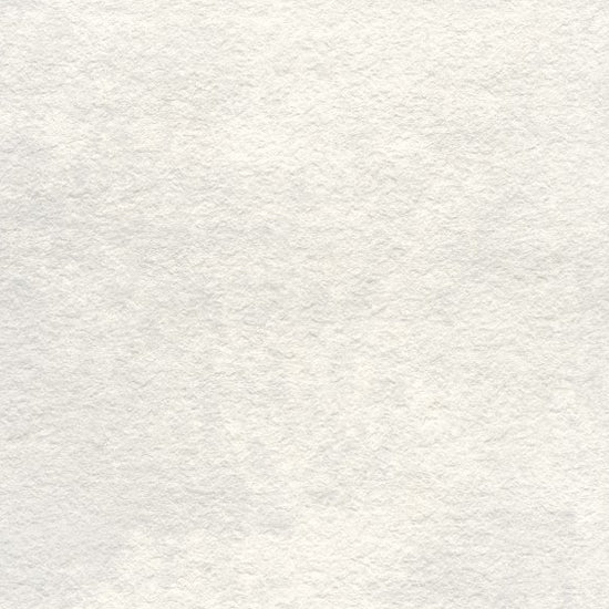 Mosa Terra Maestricht koel porseleinwit 60x60 200RL6060 12mm mat rett. R11 relieftegel