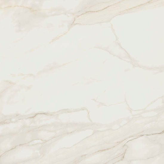 Douglas Jones XXL blanco 120x120 4120001200162 11mm glans rett.