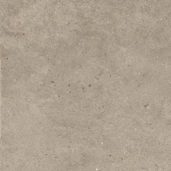 Italgraniti Silver grain taupe 60x60 si0468 9mm mat rett.