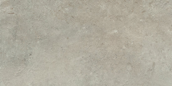 Serenissima Promenade argento 60x120 1068041 20mm mat rett. R11