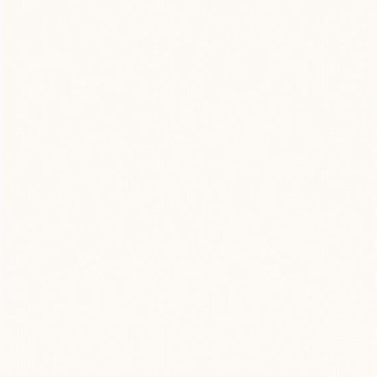 Ceramic-Apolo Cargaleiro branco 20x20 PH21 8.5MM 8,5mm mat R10