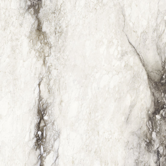 Douglas Jones Magnum renoir 120x120 761749 6mm glans rett.