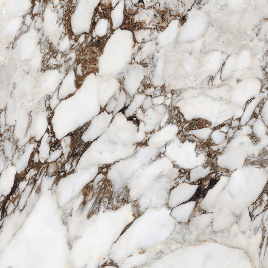 Douglas Jones Magnum breche capraia 120x120 765762 6mm glans rett.