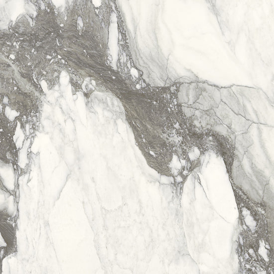 Douglas Jones Magnum renoir 60x60 761695 10mm glans rett.