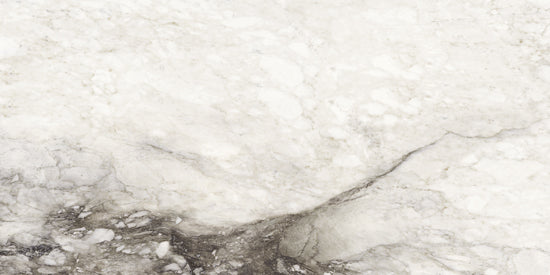 Douglas Jones Magnum renoir 60x120 761773 6mm glans rett.