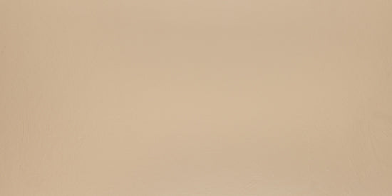 Cir Chromagic creme caramel 60x120 1074141 10mm mat rett. R10