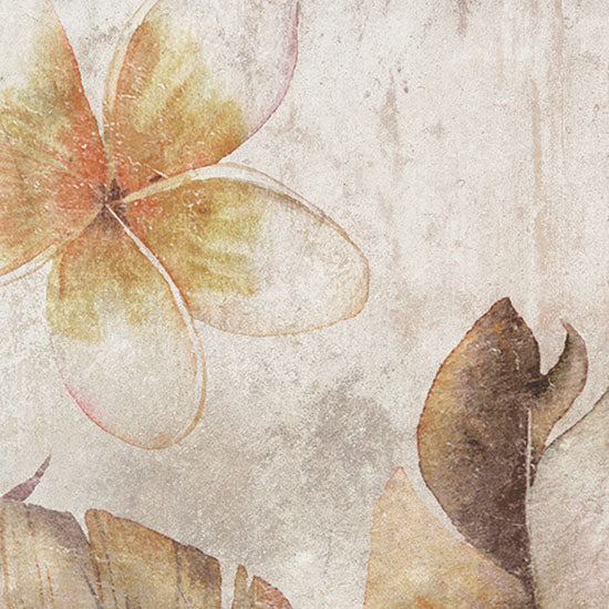 Zyx Amazonia cotto 14x14 220958 9mm mat R9 36 versch.dec.