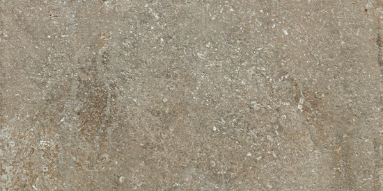 Douglas Jones Province taupe 60x120 1006517 -I-STONE 9,5mm mat rett. R10