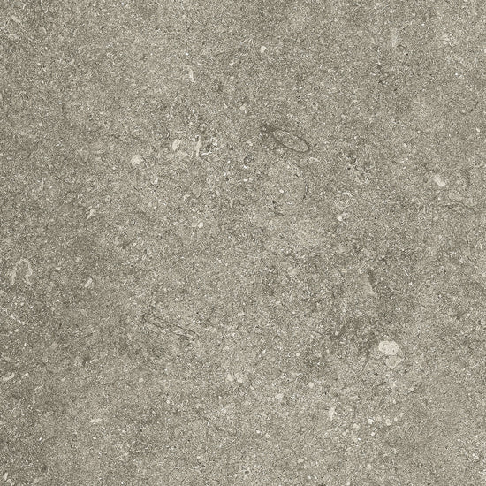 Kronos Le Reverse taupe elegance 60x60 rs003 10mm mat rett. R10 elegance