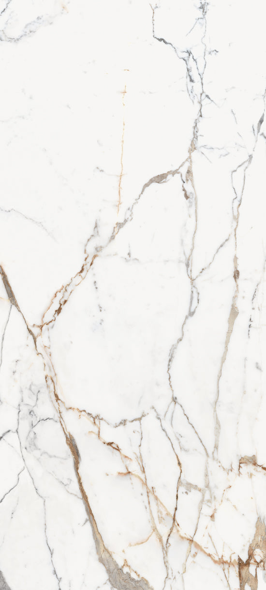 Douglas Jones Magnum or 120x280 769978 LES ORIGINES 6mm glans rett.