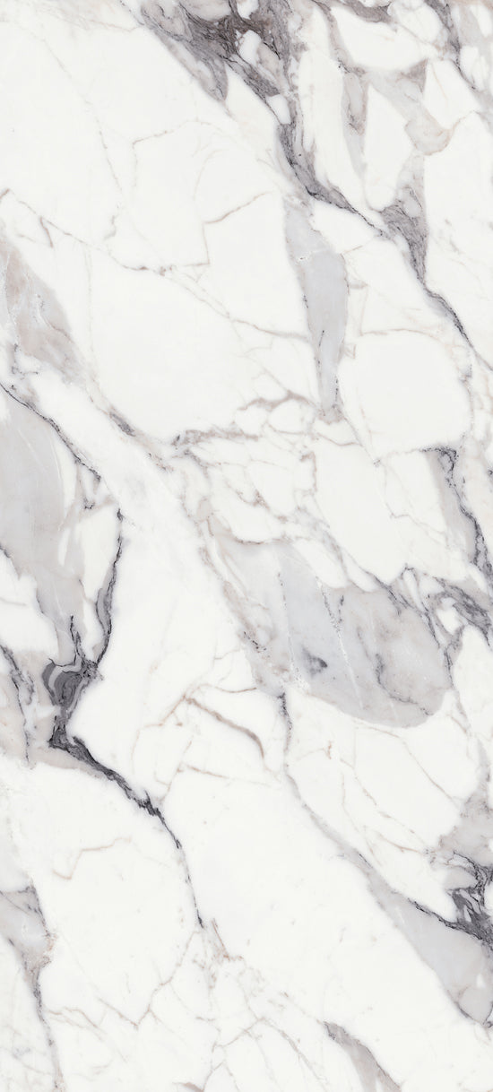 Douglas Jones Magnum argent 120x280 769971 LES ORIGINES 6mm mat rett.