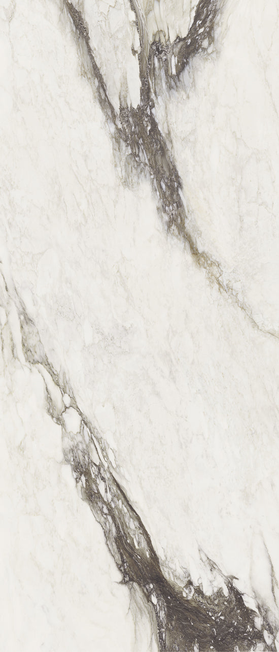 Douglas Jones Magnum renoir 120x280 761727 ETOILE DE REX 6mm glans rett.