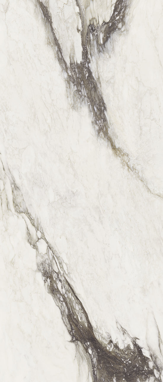 Douglas Jones Magnum renoir 120x280 761723 ETOILE DE REX 6mm mat rett.