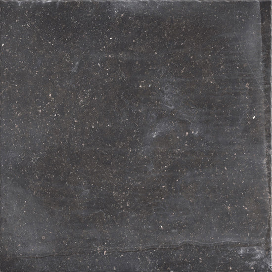 Kronos Carriere Du Kronos namur 60x60 8431 10mm mat R10 vintage