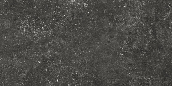 Kronos Carriere Du Kronos namur 60x120 8413 10mm glans rett.