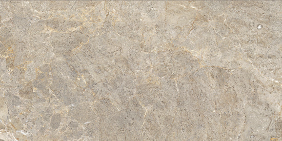 Cercom Everstone everbrown 60x120 1089324 9,5mm mat rett. R10