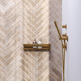 BRAUER Doucherek 40 goud geborsteld PVD 5-GG-225
