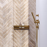 BRAUER Doucherek 40 goud geborsteld PVD 5-GG-225
