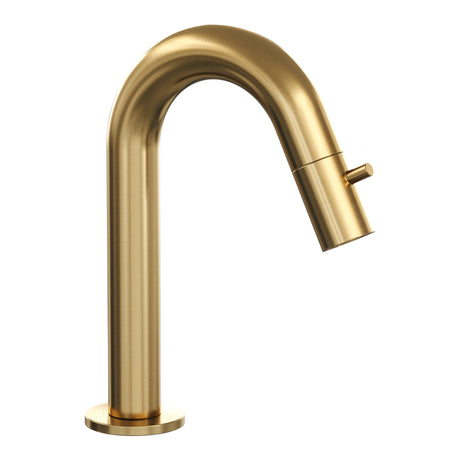 BRAUER Gold Edition opbouw fonteinkraan met gebogen uitloop goud geborsteld PVD 5-GG-320