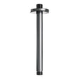 BRAUER Plafondarm 200 mm gunmetal geborsteld PVD