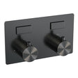 BRAUER Gunmetal Edition 2-weg inbouwthermostaat met drukknoppen met in- en afbouwdelen gunmetal geborsteld PVD
