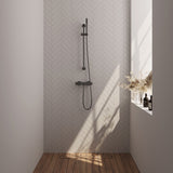 BRAUER Stripe opbouw douche thermostaatkraan SET 01 met glijstang en staaf handdouche en doucheslang gunmetal geborsteld PVD 5-GM-345