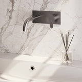 BRAUER Brushed Edition inbouw wastafelmengkraan met gebogen uitloop en afdekplaat model D1 RVS geborsteld PVD