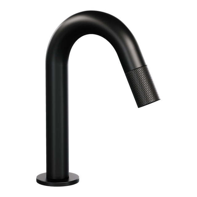 BRAUER Black Carving opbouw fonteinkraan met gebogen uitloop mat zwart 5-S-321
