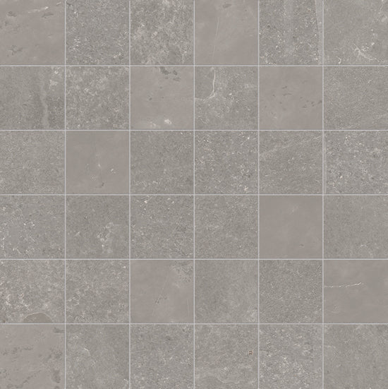 Douglas Jones Fusion bright grey 30x30 i303u8r 10mm rett. moz.f:050x050