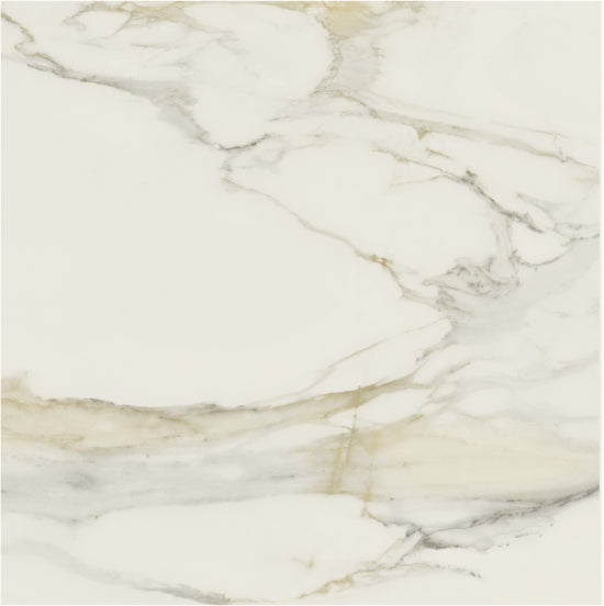 Douglas Jones Magnum cal.gold 60x60 750719 10mm glans rett.