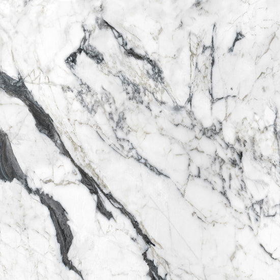 Douglas Jones Magnum calac.altissim. 120x120 765759 6mm glans rett.