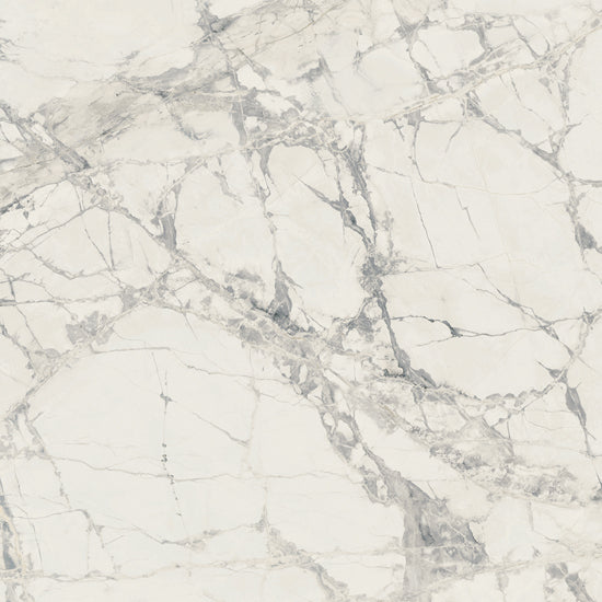 Douglas Jones Magnum mountain treas. 60x60 755868 10mm glans rett.
