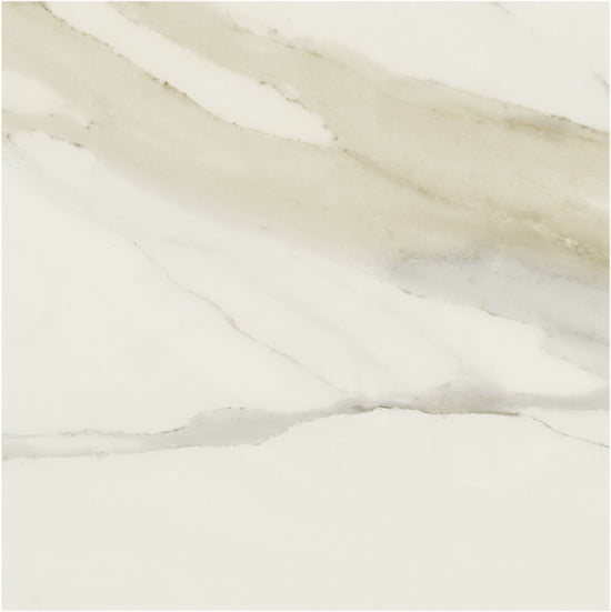 Douglas Jones Magnum cal.gold 120x120 750702 6mm glans rett.
