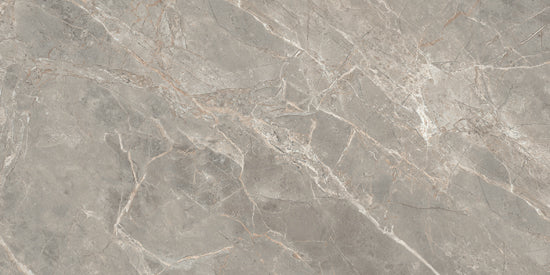 Douglas Jones Magnum gris 60x120 761774 6mm glans rett.