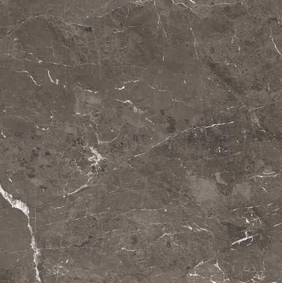 Douglas Jones Magnum brown 120x120 774839 6mm glans rett.