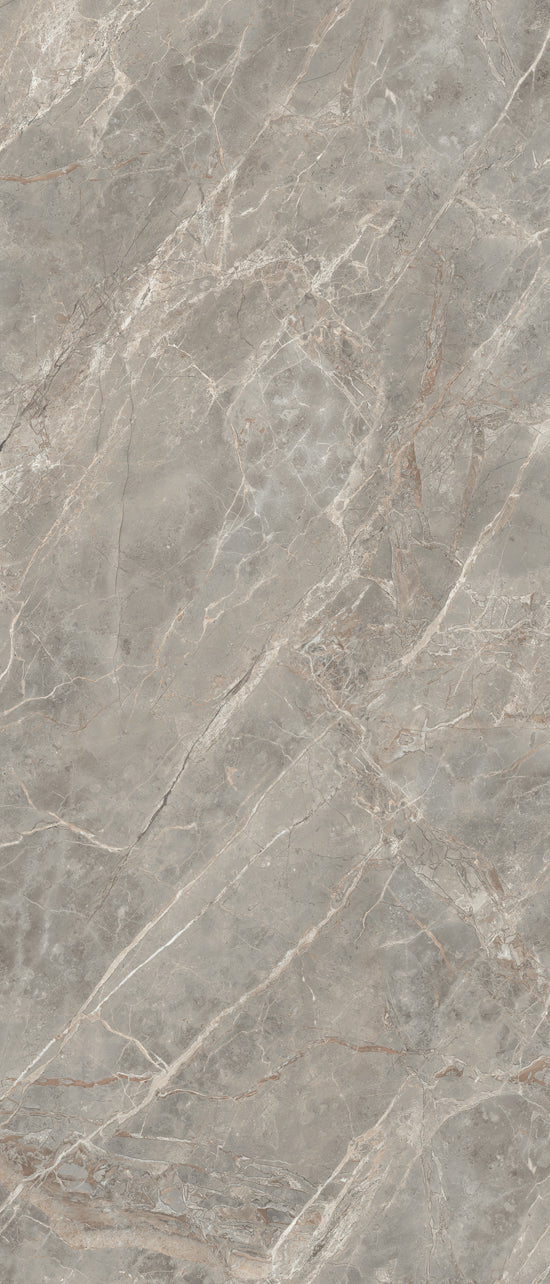 Douglas Jones Magnum gris 120x280 761728 ETOILE DE REX 6mm glans rett.
