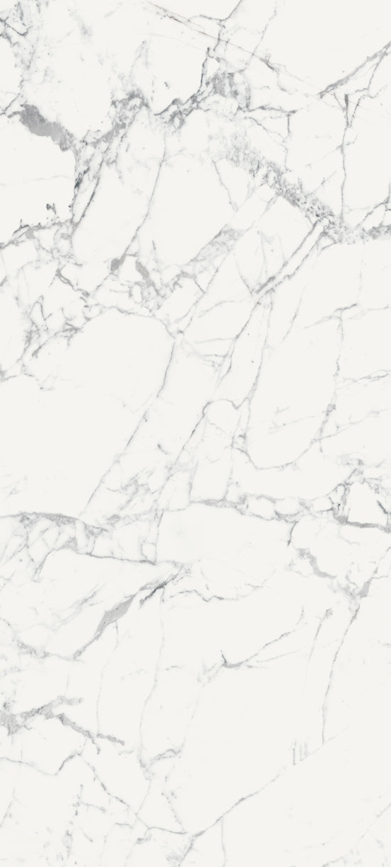 Douglas Jones Magnum blanc 120x280 769977 LES ORIGINES 6mm glans rett.