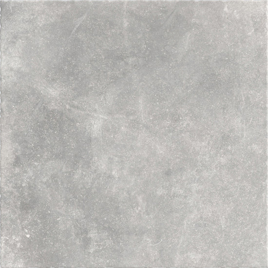 Kronos Carriere Du Kronos gent 60x60 8432 10mm mat R10 vintage