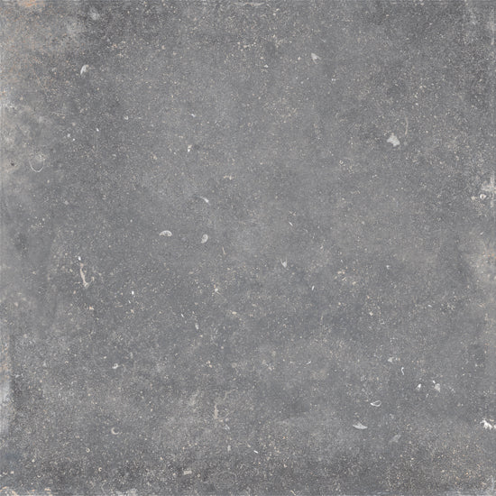 Kronos Evolution gris fonce 100x100 ev002 10mm mat rett. R10