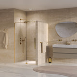 BRAUER Stellar nisdeur 2-delig draaiend helder glas 100x200 omkeerbaar incl. glascoating PVD goud geborsteld GS-SRN1H100200GG