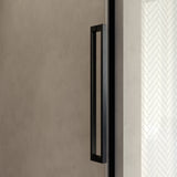 BRAUER Stellar nisdeur 2-delig draaiend helder glas 120x200 omkeerbaar incl. glascoating PVD gunmetal geborsteld GS-SRN1H120200GM