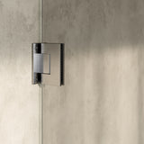 BRAUER Void nisdeur helder glas 80x200 omkeerbaar incl. glascoating PVD RVS-kleurig geborsteld GS-VON1H80200NG