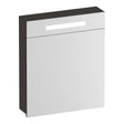 BRAUER Promise spiegelkast 60 met verlichting 1 rechtsdraaiende spiegeldeur Timber Anthracite SK-PR60RTA