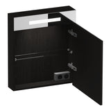 BRAUER Promise spiegelkast 60 met verlichting 1 rechtsdraaiende spiegeldeur Timber Black SK-PR60RTB